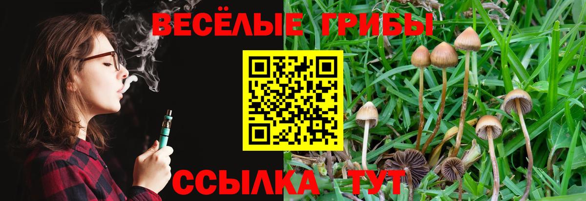 Галлюциногенные грибы Psilocybe Казань